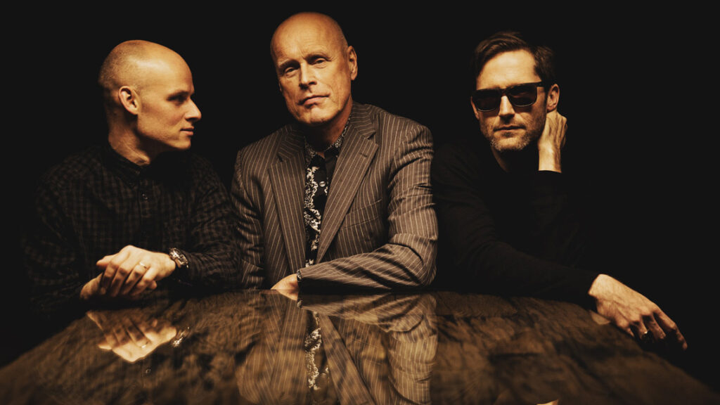Shelter Sounds: Das Kondensat